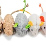 Shudyear Cat Toys